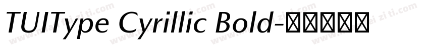 TUIType Cyrillic Bold字体转换